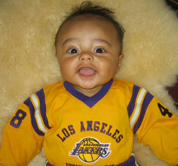 Go Lakers
