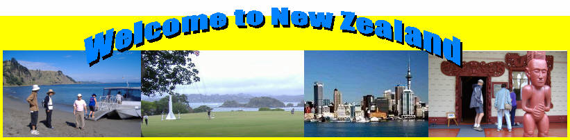 New Zealand banner